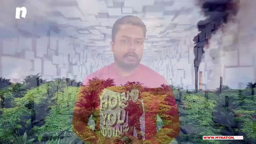 DePress Room | Indonesia is burning and we are responsible