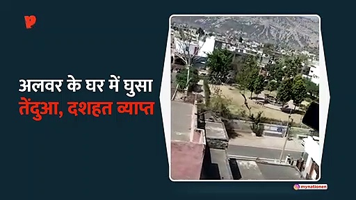 अलवर के घर में घुसा तेंदुआ, दशहत व्याप्त