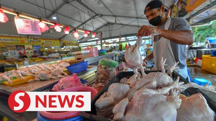 PM on chicken price: We listened to the people