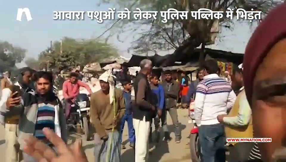 आवारा पशुओं को लेकर पुलिस पब्लिक में भिड़ंत