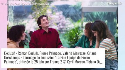 Pierre Palmade en perruque, Nathalie Baye en call-girl... la fine équipe enfin réunie sur France 2 !