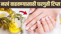 नखांची वाढ होत नाहीये? करा हा घरगुती उपाय| | How To Grow Nails Fast At Home | Grow Nails Faster