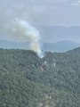 Son dakika haberleri | İzmir'in Kemalpaşa ilçesindeki orman yangını kontrol altına alındı