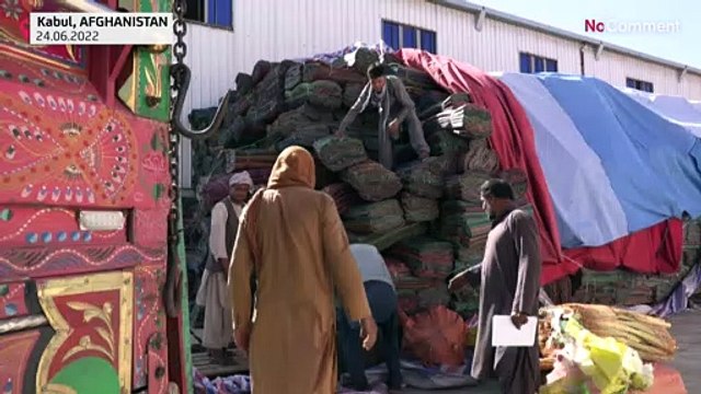 Гуманитарная помощь доставлена пострадавшим после землетрясения в Афганистане