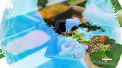 Here is how being vegetarian can help save the environment