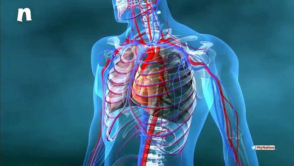 Lifeline: Here are top 5 benefits of cycling