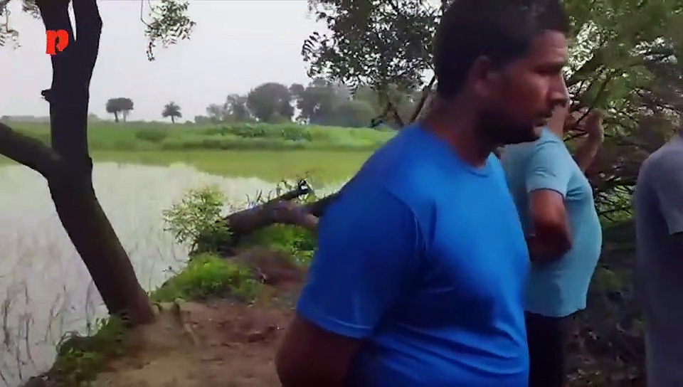 पलवल में भैंस चोर को पीट-पीट कर मारा, एक आरोपी गिरफ्तार