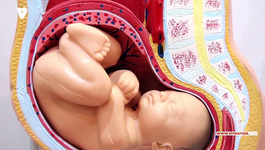 Here's how smoking during pregnancy can affect your baby