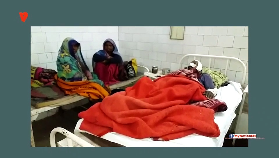 भालू के हमले में किसान गंभीर रुप से घायल