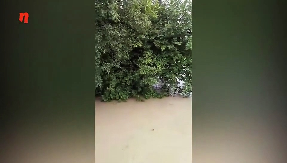 भारी बारिश के चलते आई बाढ़ में जान बचाने की जद्दोजहद