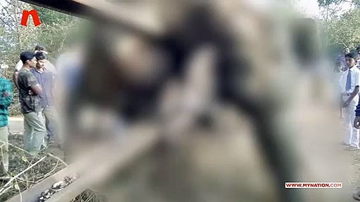 Elephant dies after getting stuck in rail fence in Karnataka