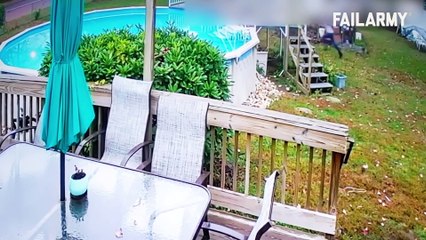 People Vs Animals Funny Animal Fails Compilation