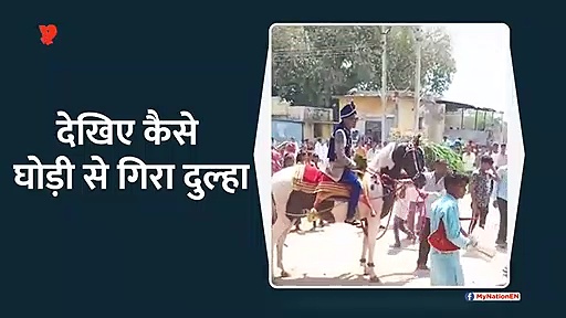 देखिए घोड़ी से कैसे गिरा दुल्हा