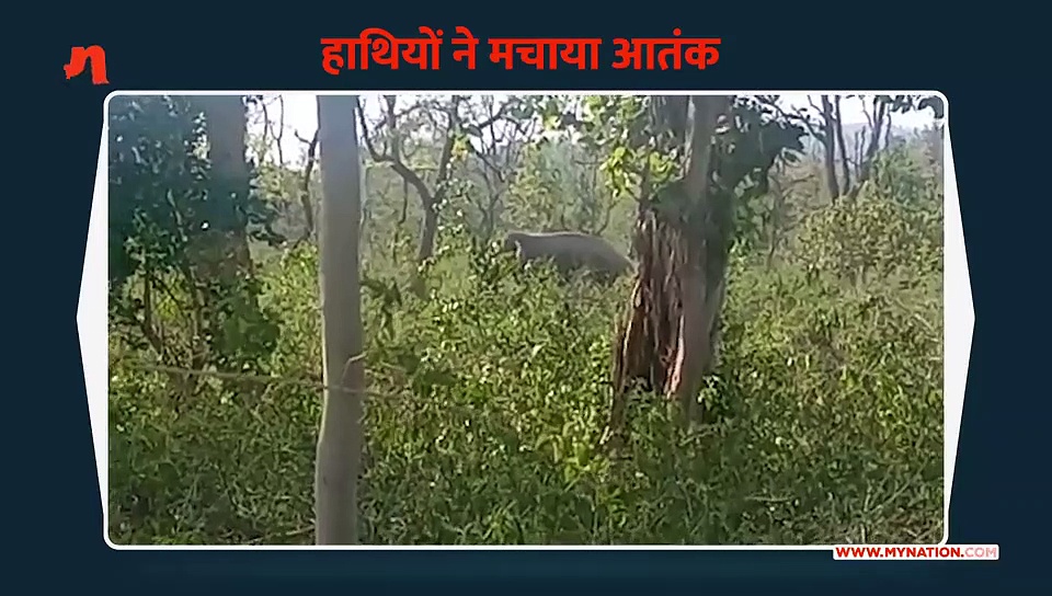 हाथियों ने मचाया आतंक