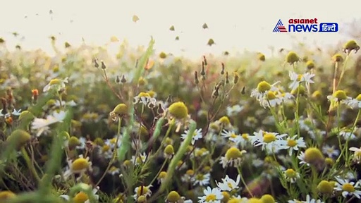 पीरियड में होने वाला दर्द नहीं होता बर्दाश्त; अपनाएं ये तरीके, मिलेगा आराम..