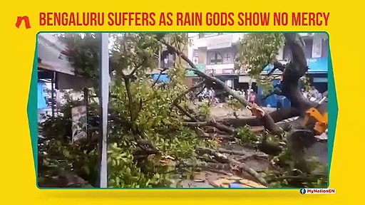 Karnataka: Heavy rains uproot trees, leave several birds dead