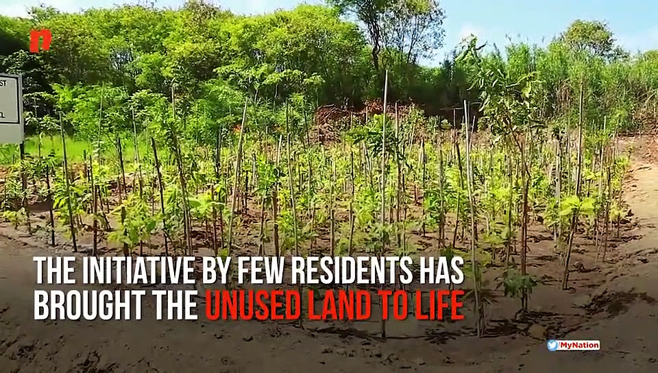 Bengaluru residents convert wasteland into full-fledged mini forest