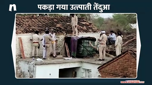 गांव में तेंदुआ घुसने से मची भगदड़