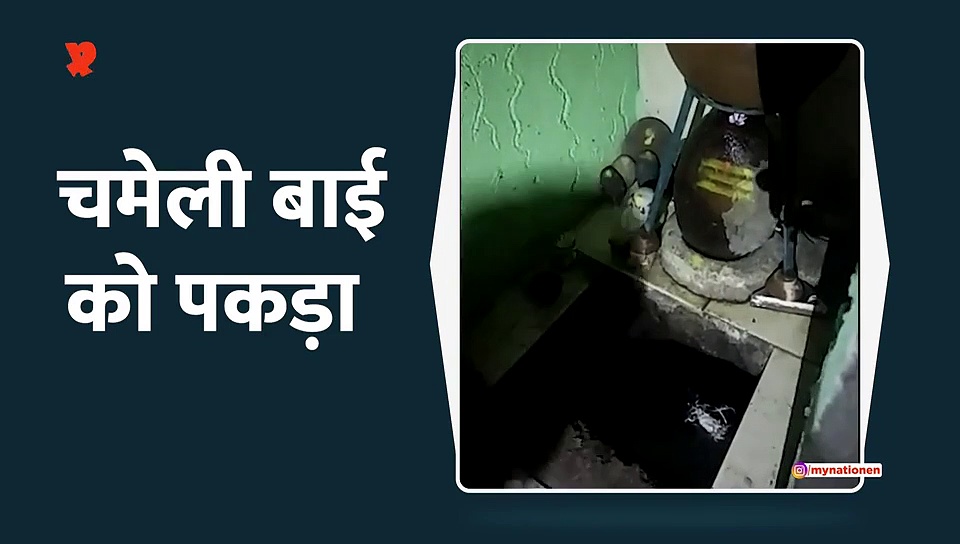 चमेली बाई को पकड़ा