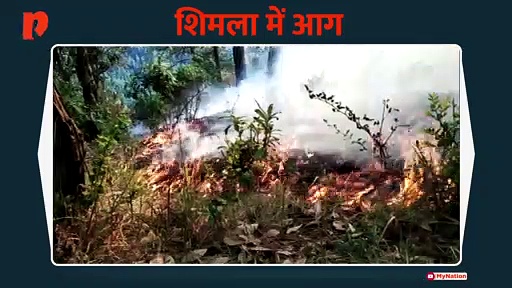 शिमला के समरहिल के साथ पोटरहिल में भड़की जंगली आग