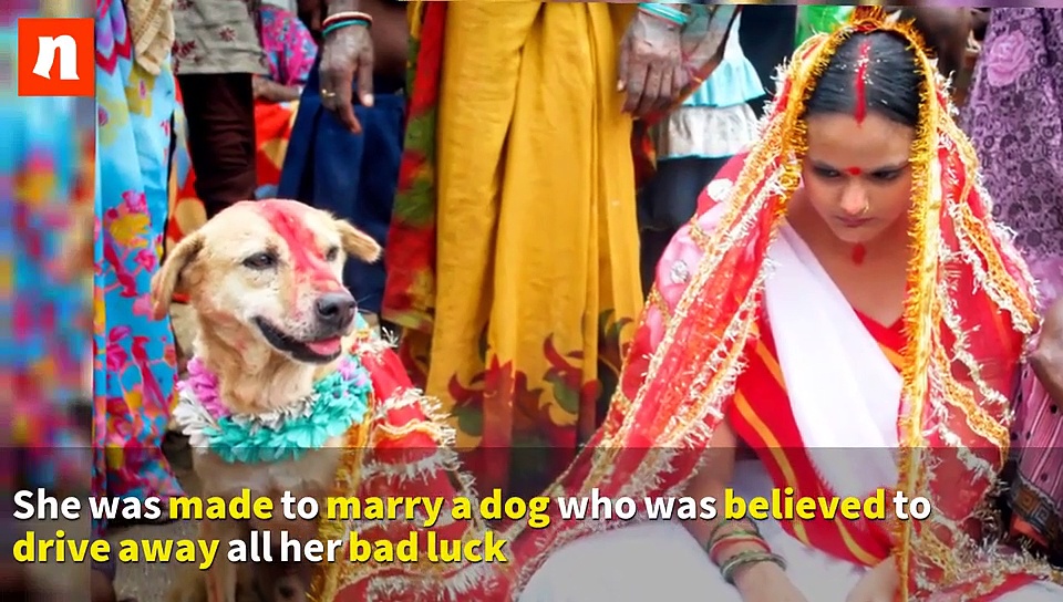 Weird weddings: Aishwarya Rai and 4 others who married dogs, trees for a reason