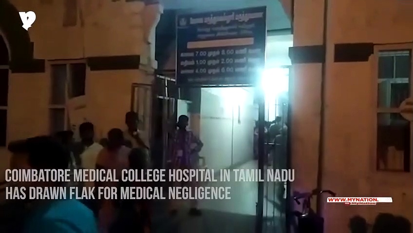 Video of cat nibbling woman's corpse thrown in corner of hospital ward goes viral