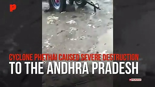 Cyclone Phethai rain brings free fish fall in Andhra Pradesh; video goes viral