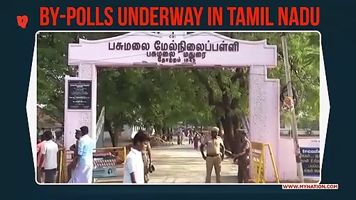 Tamil Nadu: Brisk polling underway in four constituencies