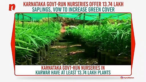 Karnataka govt-run nurseries offer 13.74 lakh saplings, vow to increase green cover