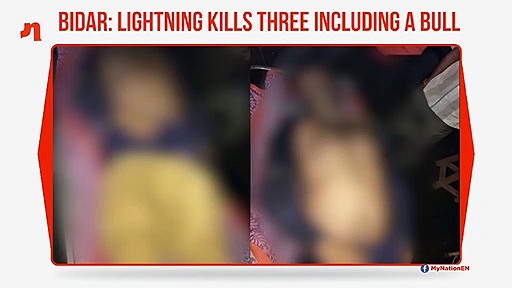 Bidar: Lightning kills three people, bull