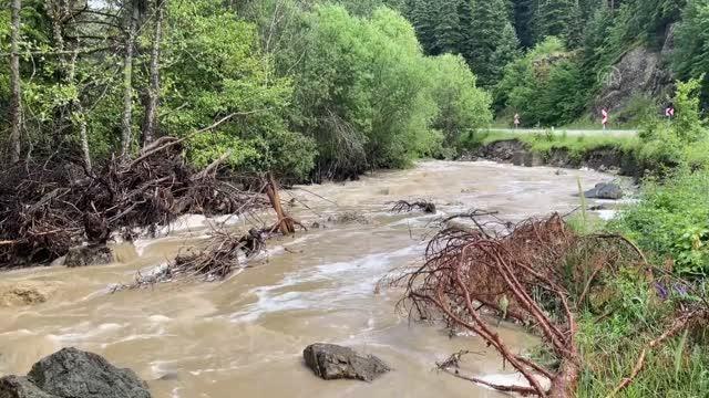 KASTAMONU - Şiddetli yağış nedeniyle Cide ve Şenpazar ilçelerindeki geçici köprü zarar gördü