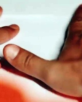 Abdülkerim Bardakcı, Galatasaray'da