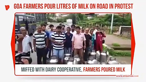 Goa farmers protest, pour hundreds of litres of milk on road