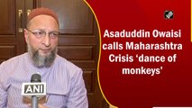 Asaduddin Owaisi calls Maharashtra Crisis ‘dance of monkeys’