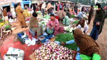 Rural Pakistan Vegetable & Fruit Market 2021