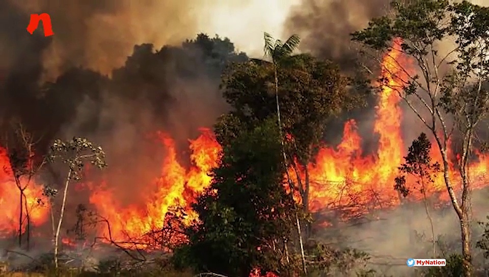Amazon rainforest fire impacts India; here’s how