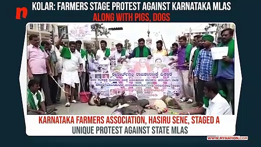 Karnataka political crisis: Farmers get dogs, pigs to protest; demand President's rule