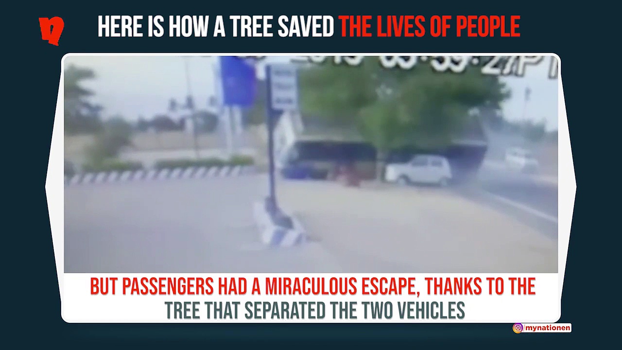 Tamil Nadu accident: Here’s how a tree saved the lives of passengers