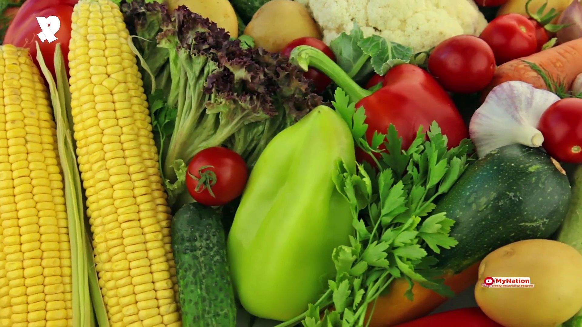 Here's is to Health: These simple steps can protect you from monsoon