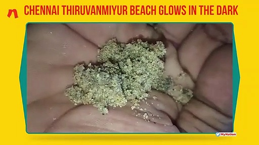 Chennai’s Thiruvanmiyur beach glows due to bioluminescent waves; experts warn of climate change