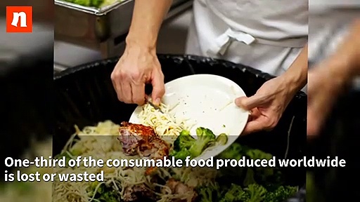 World Food Day: Zero hunger world by 2030 is possible, says FAO (Video)