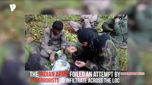 Kashmir: Indian Army foils attempt by 15 terrorists to infiltrate LoC (Video)