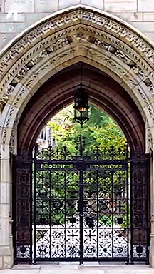 Is social media putting future of today's generation in jeopardy?