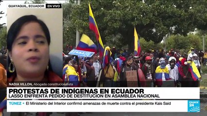 Nadia Villón: "Está en manos de la Asamblea Nacional ecuatoriana discutir la continuidad de Lasso"