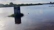 Alligator Attacks RC Boat in Florida Everglades