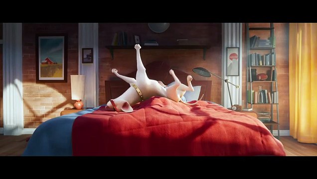 DC League of Super-Pets - Meet The Pets - Krypto the Super Dog