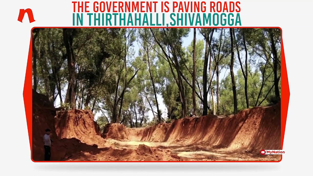 Western Ghats in trouble as govt builds roads in dense forests