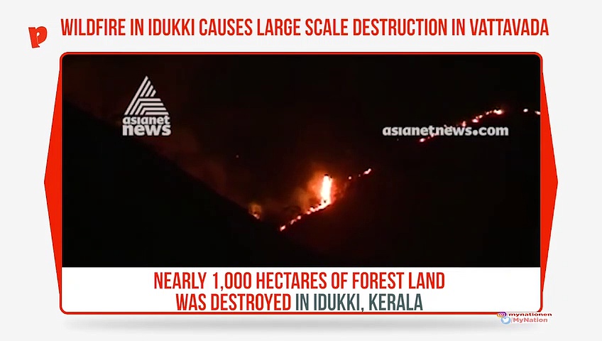 Idukki wildfire: 1,000 hectares of forest land destroyed