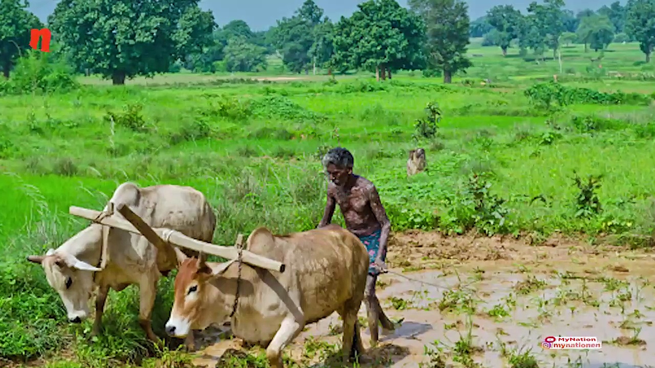 HD Kumaraswamy failed to visit all drought-hit districts, RTI report reveals