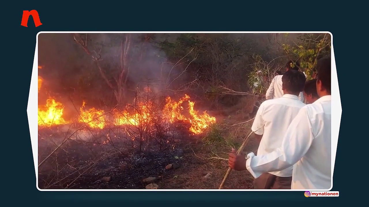 Bandipur tiger reserve catches fire once again in Karnataka